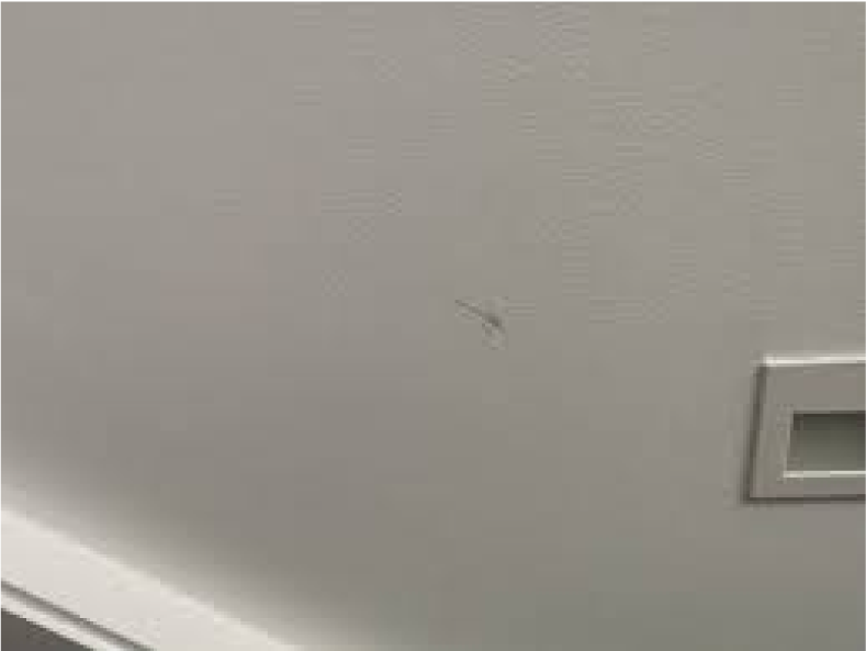 Ceiling - normal wear and tear