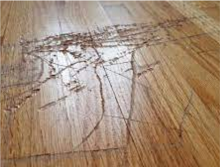 Hardwood Flooring - tenant damage