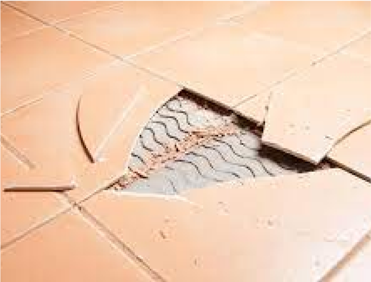 Tile Flooring - tenant damage